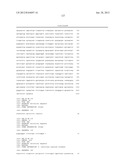 POLYPEPTIDES AND BIOSYNTHETIC PATHWAYS FOR THE PRODUCTION OF STEREOISOMERS     OF MONATIN AND THEIR PERCURSORS diagram and image