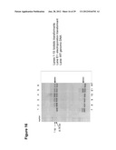 RENEWABLE CHEMICALS AND FUELS FROM OLEAGINOUS YEAST diagram and image