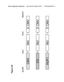 RENEWABLE CHEMICALS AND FUELS FROM OLEAGINOUS YEAST diagram and image