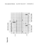 RENEWABLE CHEMICALS AND FUELS FROM OLEAGINOUS YEAST diagram and image