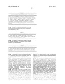 RENEWABLE CHEMICALS AND FUELS FROM OLEAGINOUS YEAST diagram and image