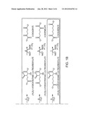 BIOLOGICAL SYNTHESIS OF DIFUNCTIONAL ALKANES FROM CARBOHYDRATE FEEDSTOCKS diagram and image