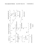 BIOLOGICAL SYNTHESIS OF DIFUNCTIONAL ALKANES FROM CARBOHYDRATE FEEDSTOCKS diagram and image