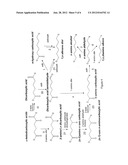 BIOLOGICAL SYNTHESIS OF DIFUNCTIONAL ALKANES FROM CARBOHYDRATE FEEDSTOCKS diagram and image