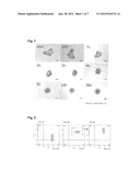 CANCER TISSUE-DERIVED CELL MASS AND A PROCESS FOR PREPARING SAME diagram and image