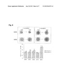 CANCER TISSUE-DERIVED CELL MASS AND A PROCESS FOR PREPARING SAME diagram and image