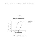 DIASTEREOMERS OF 2-METHYLENE-19-NOR-22-METHYL-1ALPHA,25-DIHYDROXYVITAMIN     D3 diagram and image