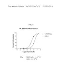 DIASTEREOMERS OF 2-METHYLENE-19-NOR-22-METHYL-1ALPHA,25-DIHYDROXYVITAMIN     D3 diagram and image