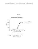 DIASTEREOMERS OF 2-METHYLENE-19-NOR-22-METHYL-1ALPHA,25-DIHYDROXYVITAMIN     D3 diagram and image