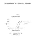 DIASTEREOMERS OF 2-METHYLENE-19-NOR-22-METHYL-1ALPHA,25-DIHYDROXYVITAMIN     D3 diagram and image