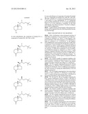 DIASTEREOMERS OF 2-METHYLENE-19-NOR-22-METHYL-1ALPHA,25-DIHYDROXYVITAMIN     D3 diagram and image