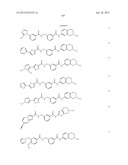 RHO KINASE INHIBITORS diagram and image