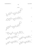 RHO KINASE INHIBITORS diagram and image