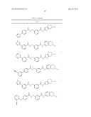 RHO KINASE INHIBITORS diagram and image