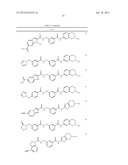 RHO KINASE INHIBITORS diagram and image