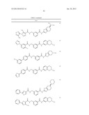 RHO KINASE INHIBITORS diagram and image