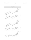 RHO KINASE INHIBITORS diagram and image