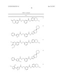 RHO KINASE INHIBITORS diagram and image