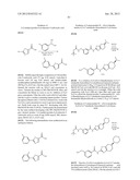 RHO KINASE INHIBITORS diagram and image