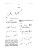 RHO KINASE INHIBITORS diagram and image