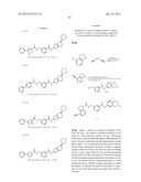 RHO KINASE INHIBITORS diagram and image