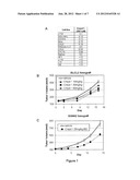 INHIBITORS OF B LYMPHOCYTE KINASE diagram and image