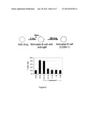 INHIBITORS OF B LYMPHOCYTE KINASE diagram and image