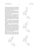 INHIBITORS OF B LYMPHOCYTE KINASE diagram and image