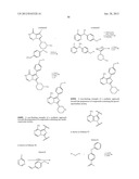 INHIBITORS OF B LYMPHOCYTE KINASE diagram and image