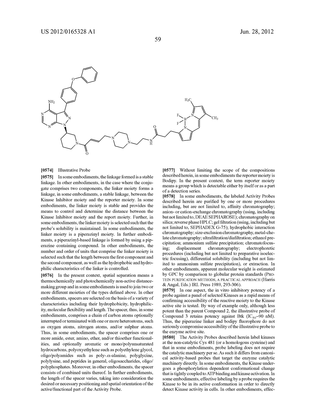 INHIBITORS OF B LYMPHOCYTE KINASE - diagram, schematic, and image 67