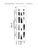 ANTISENSE OLIGONUCLEOTIDES THAT TARGET A CRYPTIC SPLICE SITE IN USH1C AS A     THERAPEUTIC FOR USHER SYNDROME diagram and image