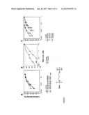 CHEMICAL MODIFICATION OF SHORT SMALL HAIRPIN RNAS FOR INHIBITION OF GENE     EXPRESSION diagram and image