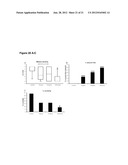 USE OF ONE OR A COMBINATION OF PHYTO-CANNABINOIDS IN THE TREATMENT OF     EPILEPSY diagram and image