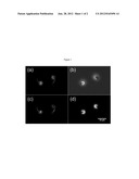 USE OF MARINE ALGAE FOR PRODUCING POLYMERS diagram and image