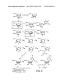 SYNTHESIS OF LOCKED NUCLEIC ACID DERIVATIVES diagram and image