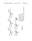 SYNTHESIS OF LOCKED NUCLEIC ACID DERIVATIVES diagram and image