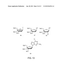 SYNTHESIS OF LOCKED NUCLEIC ACID DERIVATIVES diagram and image