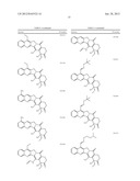 CAMPTOTHECIN DERIVATIVES diagram and image