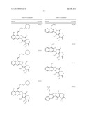 CAMPTOTHECIN DERIVATIVES diagram and image