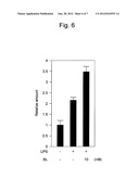 IMMUNOSTIMULANT diagram and image