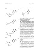 IMMUNOSTIMULANT diagram and image