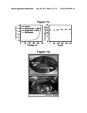 WATERPROOF STRETCHABLE OPTOELECTRONICS diagram and image