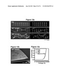 WATERPROOF STRETCHABLE OPTOELECTRONICS diagram and image