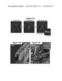 WATERPROOF STRETCHABLE OPTOELECTRONICS diagram and image