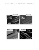 WATERPROOF STRETCHABLE OPTOELECTRONICS diagram and image