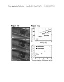 WATERPROOF STRETCHABLE OPTOELECTRONICS diagram and image