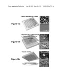 WATERPROOF STRETCHABLE OPTOELECTRONICS diagram and image