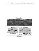 WATERPROOF STRETCHABLE OPTOELECTRONICS diagram and image