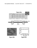 WATERPROOF STRETCHABLE OPTOELECTRONICS diagram and image