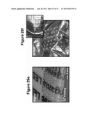 WATERPROOF STRETCHABLE OPTOELECTRONICS diagram and image